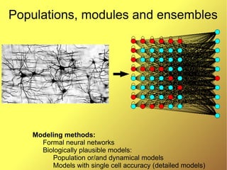Introduction to modern methods and tools for biologically plausible ...