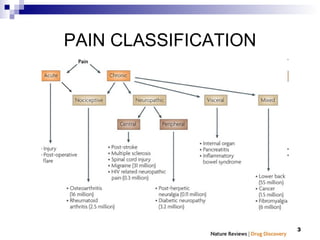 Molecular Mechanisms of Pain. Part 1 | PPT