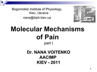 Bogomoletz Institute of Physiology, Kiev, Ukraine [email_address] Dr. NANA VOITENKO AACIMP   KIEV - 2011 Molecular Mechanisms  of Pain   part I 