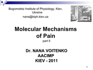 Bogomoletz Institute of Physiology, Kiev, Ukraine [email_address] Dr. NANA VOITENKO AACIMP   KIEV - 2011 Molecular Mechanisms  of Pain   part II 