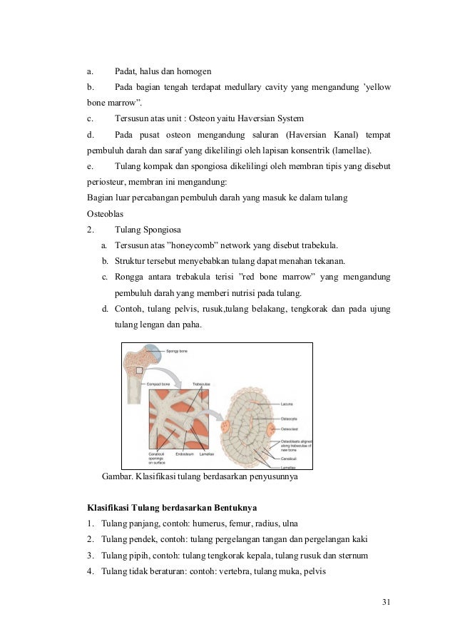 Materi M2kb2 Anatomi Fisiologi