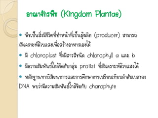 อาณาจักรพืช (Kingdom Plantae)
 พืชเป็นสิ่งมีชีวิตที่ทาหน้าที่เป็นผู้ผลิต (producer) สามารถ
สังเคราะห์ด้วยแสงเพื่อสร้างอาหารเองได้
 มี chloroplast ซึ่งมีสารสีชนิด chlorophyll a และ b
 มีความสัมพันธ์ใกล้ชิดกับกลุ่ม protist ที่สังเคราะห์ด้วยแสงได้
 หลักฐานทางวิวัฒนาการและการศึกษาการเปรียบเทียบลาดับเบสของ
DNA พบว่ามีความสัมพันธ์ใกล้ชิดกับ charophyte
 