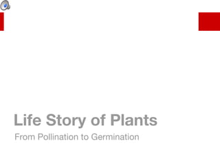 Life Story of Plants ,[object Object]