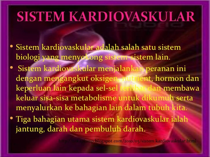 Musik Aerobik Low