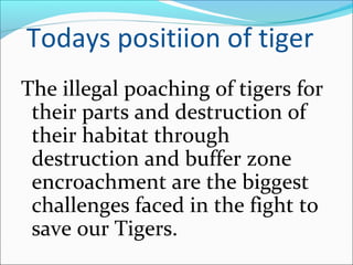 Todays positiion of tiger
The illegal poaching of tigers for
their parts and destruction of
their habitat through
destruction and buffer zone
encroachment are the biggest
challenges faced in the fight to
save our Tigers.
 
