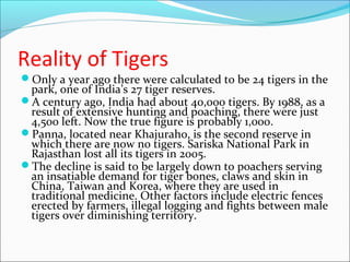 Reality of Tigers
Only a year ago there were calculated to be 24 tigers in the
park, one of India’s 27 tiger reserves.
A century ago, India had about 40,000 tigers. By 1988, as a
result of extensive hunting and poaching, there were just
4,500 left. Now the true figure is probably 1,000.
Panna, located near Khajuraho, is the second reserve in
which there are now no tigers. Sariska National Park in
Rajasthan lost all its tigers in 2005.
The decline is said to be largely down to poachers serving
an insatiable demand for tiger bones, claws and skin in
China, Taiwan and Korea, where they are used in
traditional medicine. Other factors include electric fences
erected by farmers, illegal logging and fights between male
tigers over diminishing territory.
 