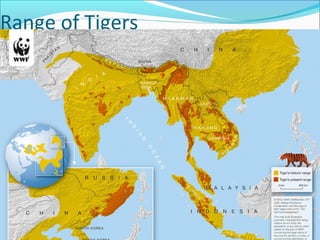 Range of Tigers
 