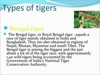 Types of tigers
Bengal tiger
 The Bengal tiger, or Royal Bengal tiger , equals a
race of tiger mainly obtained in India and
Bangladesh. They are also obtained in regions of
Nepal, Bhutan, Myanmar and south Tibet. The
Bengal tiger is among the biggest and the just
about a lot of of the tiger race, with approximately
1,411 wild tigers being accounted by the
Government of India's National Tiger
Conservation Authority.
 
