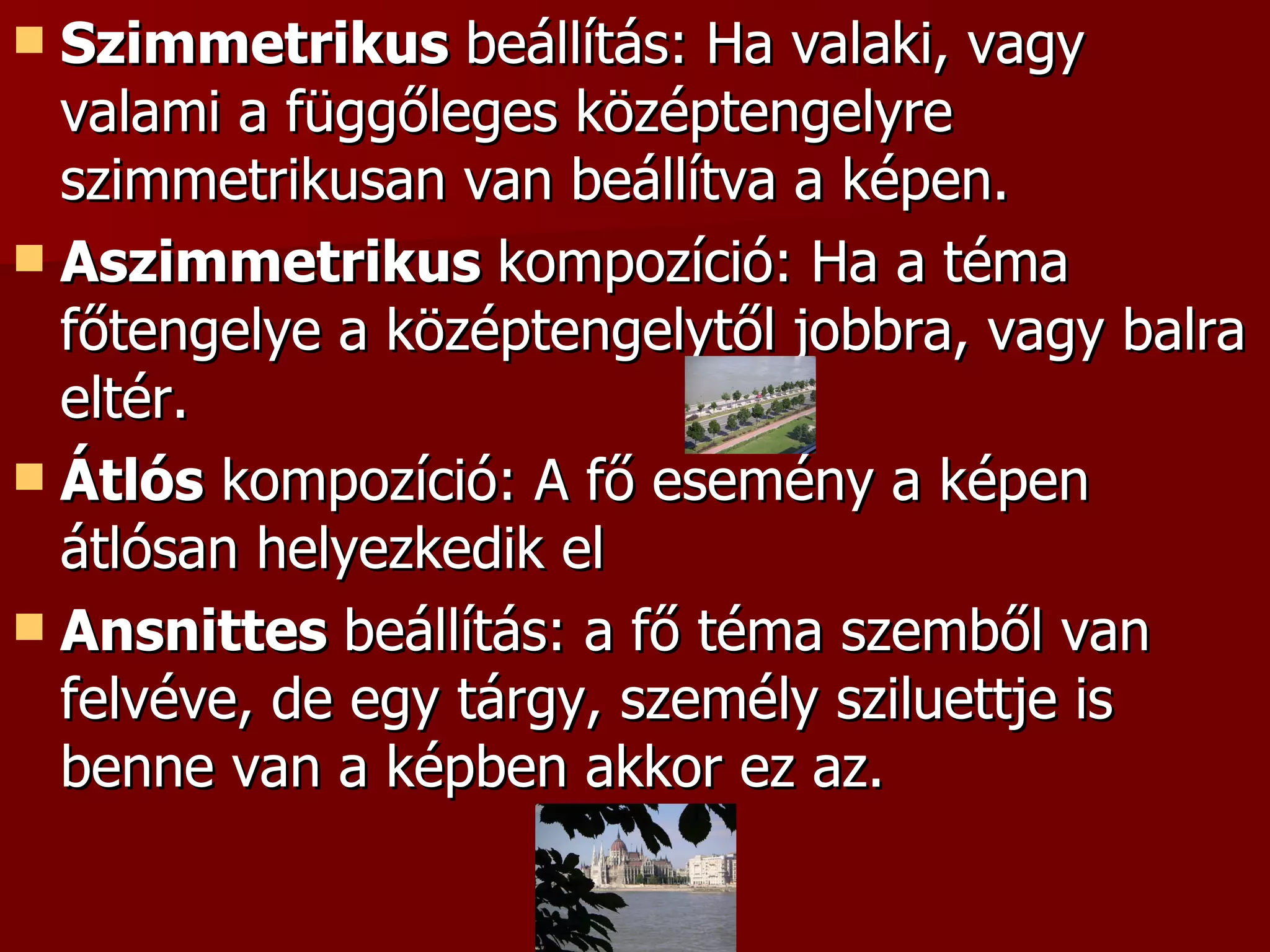 Szimmetrikus  beállítás: Ha valaki, vagy valami a függőleges középtengelyre szimmetrikusan van beállítva a képen.  Aszimmetrikus  kompozíció: Ha a téma főtengelye a középtengelytől jobbra, vagy balra eltér.  Átlós  kompozíció: A fő esemény a képen átlósan helyezkedik el Ansnittes  beállítás: a fő téma szemből van felvéve, de egy tárgy, személy sziluettje is benne van a képben akkor ez az.  