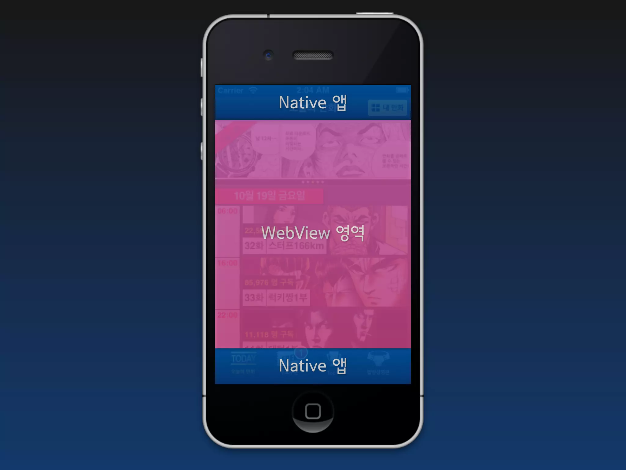 Native 앱




WebView 영역




 Native 앱
 