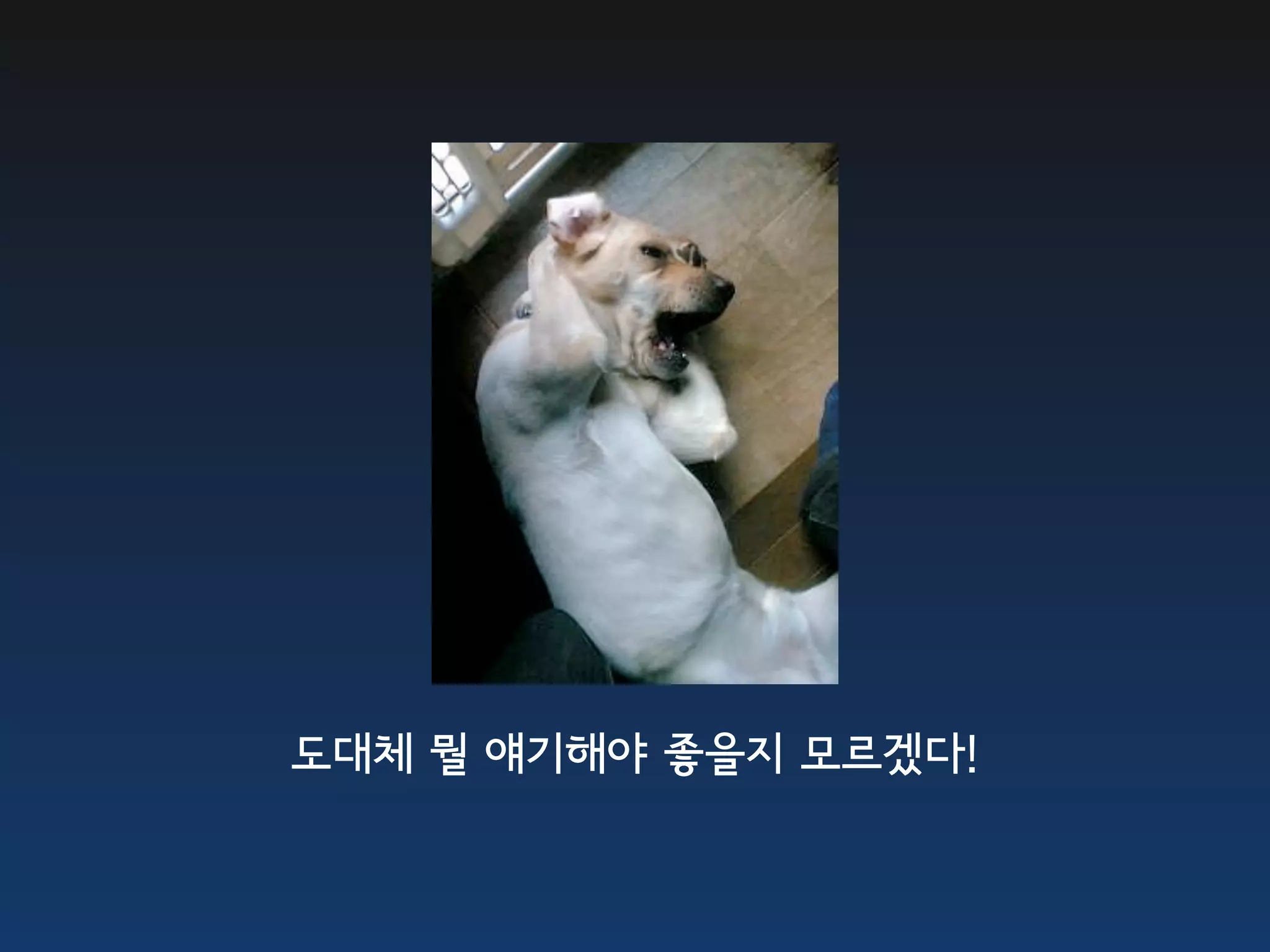 도대체 뭘 얘기해야 좋을지 모르겠다!
 