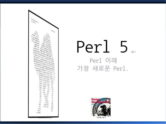나의 Perl 투신기: 보다 나은 Perl 개미지옥을 위하여