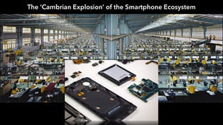 The ‘Cambrian Explosion’ of the Smartphone Ecosystem
 