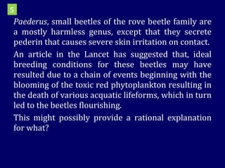 Paederus , small beetles of the rove beetle family are a mostly harmless genus, except that they secrete pederin that causes severe skin irritation on contact.  An article in the Lancet has suggested that, ideal breeding conditions for these beetles may have resulted due to a chain of events beginning with the blooming of the toxic red phytoplankton resulting in the death of various acquatic lifeforms, which in turn led to the beetles flourishing. This might possibly provide a rational explanation for what? 5 