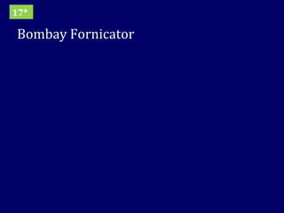 Bombay Fornicator 17* 