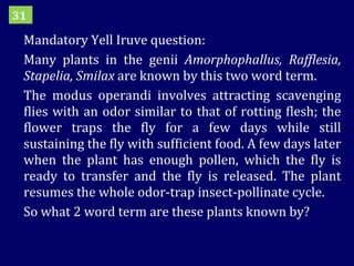 Mandatory Yell Iruve question: Many plants in the genii  Amorphophallus, Rafflesia, Stapelia, Smilax  are known by this two word term.  The modus operandi involves attracting scavenging flies with an odor similar to that of rotting flesh; the flower traps the fly for a few days while still sustaining the fly with sufficient food. A few days later when the plant has enough pollen, which the fly is ready to transfer and the fly is released. The plant resumes the whole odor-trap insect-pollinate cycle. So what 2 word term are these plants known by? 31 