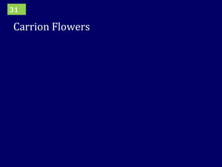Carrion Flowers 31 