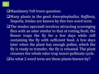 Mandatory Yell Iruve question: Many plants in the genii  Amorphophallus, Rafflesia, Stapelia, Smilax  are known by this two word term.  The modus operandi involves attracting scavenging flies with an odor similar to that of rotting flesh; the flower traps the fly for a few days while still sustaining the fly with sufficient food. A few days later when the plant has enough pollen, which the fly is ready to transfer, the fly is released. The plant resumes the whole odor-trap insect-pollinate cycle. So what 2 word term are these plants known by? 31 