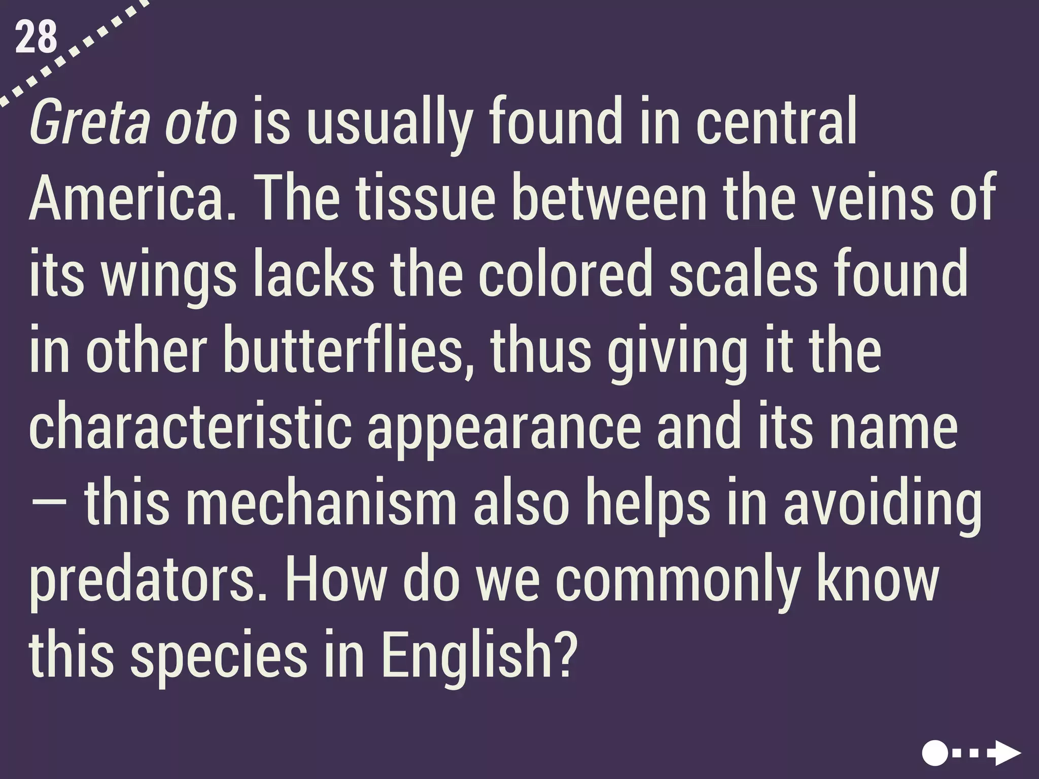 28
Greta oto is usually found in central
America. The tissue between the veins of
its wings lacks the colored scales found
in other butterflies, thus giving it the
characteristic appearance and its name
— this mechanism also helps in avoiding
predators. How do we commonly know
this species in English?
 