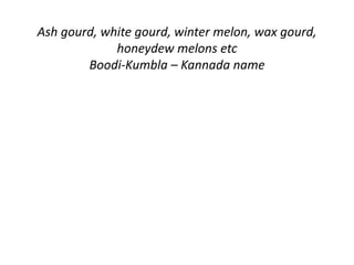 Ash gourd, white gourd, winter melon, wax gourd, 
honeydew melons etc 
Boodi-Kumbla – Kannada name 
 