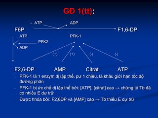 GĐGĐ 1(tt)1(tt)::
ATPATP ADPADP
F6PF6P F1,6F1,6--DPDP
ATPATP PFKPFK--11
PFK2PFK2
ADPADP
F2,6F2,6--DPDP AMPAMP CitratCitrat ATPATP
-- PFKPFK--11 llàà 11 enzymenzym ddịị llậậpp ththểể,, pưpư 11 chichiềềuu,, llàà khâukhâu gigiớớii hhạạnn ttốốcc đđộộ
đưđườờngng phânphân
-- PFKPFK--11 bbịị ứứcc chchếế ddịị llậậpp ththểể bbởởii: [ATP], [: [ATP], [citratcitrat]] caocao →→ chchứứngng ttỏỏ TbTb đãđã
ccóó nhinhiềềuu EE ddựự trtrữữ
-- ĐưĐượợcc hhhhóóaa bbởởii: F2,6DP: F2,6DP vvàà [AMP][AMP] caocao →→ TbTb thithiếếuu EE ddựự trtrữữ
(+) (+) (-) (-)
 