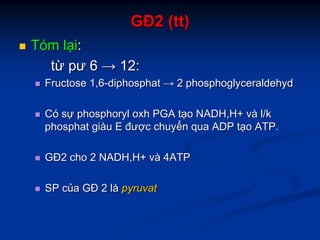 GĐGĐ2 (2 (tttt))
TTóómm llạạii::
ttừừ pưpư 66 →→ 12:12:
Fructose 1,6Fructose 1,6--diphosphatdiphosphat →→ 22 phosphoglyceraldehydphosphoglyceraldehyd
CCóó ssựự phosphorylphosphoryl oxhoxh PGAPGA ttạạoo NADH,H+NADH,H+ vvàà l/kl/k
phosphatphosphat gigiààuu EE đưđượợcc chuychuyểểnn qua ADPqua ADP ttạạoo ATPATP..
GĐGĐ22 chocho 2 NADH,H+2 NADH,H+ vvàà 4ATP4ATP
SPSP ccủủaa GĐGĐ 22 llàà pyruvatpyruvat
 