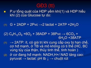 GĐGĐ3 (3 (tttt))
PP..ưư ttổổngng ququáátt ccủủaa HDPHDP yyếếmm khkhíí(1)(1) vvàà HDPHDP hihiếếuu
khkhíí (2)(2) ccủủaa GlucoseGlucose ttựự do:do:
(1)(1) G + 2ADP + 2PvcG + 2ADP + 2Pvc →→22 lactatlactat + 2ATP +2H+ 2ATP +2H22OO
(2) C(2) C66HH1212OO66 +6O+6O22 + 38ADP + 38Pvc+ 38ADP + 38Pvc →→ 6CO6CO22 ++
6H6H22O +38ATPO +38ATP
(1)(1) →→ 2ATP:2ATP: íítt,, ccóó gigiáá trtrịị khikhi cungcung ccấấpp oxyoxy bbịị hhạạnn chchếế,,
cơcơ hđhđ mmạạnhnh,, ởở TBTB vvàà mômô khôngkhông ccóó titi ththểể (HC, BC(HC, BC
vvùùngng ttủủyy ccủủaa ththậậnn,, ththủủyy tinhtinh ththểể,, tinhtinh hohoàànn ))
(2)(2) ởở cơcơ đangđang hđhđ mmạạnhnh: NADH,H+/ NAD: NADH,H+/ NAD tăngtăng caocao::
pyruvatpyruvat →→ lactatlactat: pH: pH tbtb ↓↓ →→ chuchuộộtt rrúútt
 