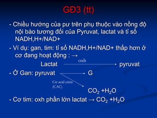 GĐGĐ3 (3 (tttt))
-- ChiChiềềuu hưhướớngng ccủủaa pưpư trêntrên phphụụ thuthuộộcc vvààoo nnồồngng đđộộ
nnộộii bbààoo tươngtương đđốốii ccủủaa PyruvatPyruvat,, lactatlactat vvàà ttỉỉ ssốố
NADH,H+/NAD+NADH,H+/NAD+
-- VVíí ddụụ:: gangan,, timtim:: ttỉỉ ssốố NADH,H+/NAD+NADH,H+/NAD+ ththấấpp hơnhơn ởở
cơcơ đangđang hohoạạtt đđộộngng :: →→
LactatLactat pyruvatpyruvat
-- ỞỞ GanGan:: pyruvatpyruvat GG
COCO22 +H+H22OO
-- CơCơ timtim:: oxhoxh phphầầnn llớớnn lactatlactat →→ COCO22 +H+H22OO
oxh
Ctr acid citric
(CAC)
 