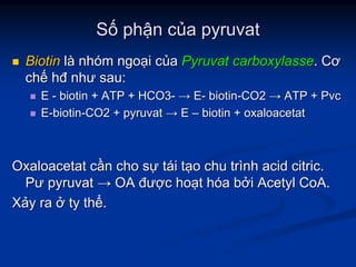 SSốố phphậậnn ccủủaa pyruvatpyruvat
BiotinBiotin llàà nhnhóómm ngongoạạii ccủủaa PyruvatPyruvat carboxylassecarboxylasse.. CơCơ
chchếế hđhđ nhưnhư sausau::
EE -- biotin + ATP + HCO3biotin + ATP + HCO3-- →→ EE-- biotinbiotin--CO2CO2 →→ ATP +ATP + PvcPvc
EE--biotinbiotin--CO2 +CO2 + pyruvatpyruvat →→ EE –– biotin +biotin + oxaloacetatoxaloacetat
OxaloacetatOxaloacetat ccầầnn chocho ssựự ttááii ttạạoo chuchu trtrììnhnh acid citric.acid citric.
PưPư pyruvatpyruvat →→ OAOA đưđượợcc hohoạạtt hhóóaa bbởởii AcetylAcetyl CoACoA..
XXảảyy rara ởở tyty ththểể..
 