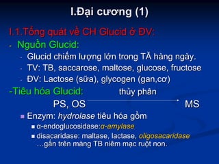 II..ĐĐạạii cươngcương (1)(1)
I.1.TI.1.Tổổngng ququáátt vvềề CHCH GlucidGlucid ởở ĐVĐV::
-- NguNguồồnn GlucidGlucid::
-- GlucidGlucid chichiếếmm lưlượợngng llớớnn trongtrong TĂTĂ hhààngng ngngààyy..
-- TV: TB,TV: TB, saccarosesaccarose, m, maltose, glucoaltose, glucose, fse, fructoseructose
-- ĐVĐV: Lactose (: Lactose (ssữữaa), glycogen (), glycogen (gan,gan,cơcơ))
--TiêuTiêu hhóóaa GlucidGlucid:: ththủủyy phânphân
PS, OSPS, OS MSMS
EnzymEnzym:: hydrolasehydrolase tiêutiêu hhóóaa ggồồmm
αα--endoglucosidaseendoglucosidase::αα--amylaseamylase
disacaridasedisacaridase: maltase, lactase,: maltase, lactase, oligosacaridaseoligosacaridase
……ggắắnn trêntrên mmààngng TBTB niêmniêm mmạạcc ruruộộtt non.non.
 