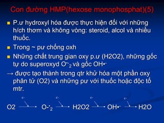 ConCon đưđườờngng HMP(hexoseHMP(hexose monophosphat)(5)monophosphat)(5)
PP..ưư hydroxylhydroxyl hhóóaa đưđượợcc ththựựcc hihiệệnn đđốốii vvớớii nhnhữữngng
h/chh/ch thơmthơm vvàà khôngkhông vòngvòng: steroid,: steroid, alcolalcol vvàà nhinhiềềuu
thuthuốốcc..
TrongTrong ~~ pưpư chchốốngng oxhoxh
NhNhữữngng chchấấtt trungtrung giangian oxyoxy pp..ưư (H2O2),(H2O2), nhnhữữngng ggốốcc
ttựự dodo superoxydsuperoxyd OO••--
22 vvàà ggốốcc OHOH••--
→→ đưđượợcc ttạạoo ththàànhnh trongtrong qtrqtr khkhửử hhóóaa mmộộtt phphầầnn oxyoxy
phânphân ttửử (O2)(O2) vvàà nhnhữữngng pưpư vvớớii thuthuốốcc hohoặặcc đđộộcc ttốố
mtrmtr..
O2O2 OO--••
22 H2O2H2O2 OHOH••-- H2OH2O
e- e- e- e-
 