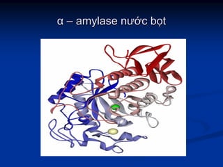 αα –– amylaseamylase nưnướớcc bbọọtt
 
