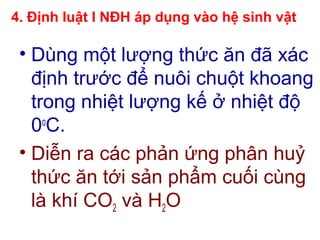 4. Định luật I NĐH áp dụng vào hệ sinh vật
• Dùng một lượng thức ăn đã xác
định trước để nuôi chuột khoang
trong nhiệt lượng kế ở nhiệt độ
0o
C.
• Diễn ra các phản ứng phân huỷ
thức ăn tới sản phẩm cuối cùng
là khí CO2 và H2O
 