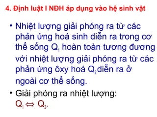 4. Định luật I NĐH áp dụng vào hệ sinh vật
• Nhiệt lượng giải phóng ra từ các
phản ứng hoá sinh diễn ra trong cơ
thể sống Q1 hoàn toàn tương đương
với nhiệt lượng giải phóng ra từ các
phản ứng ôxy hoá Q2 diễn ra ở
ngoài cơ thể sống.
• Giải phóng ra nhiệt lượng:
Q1 ⇔ Q2.
 