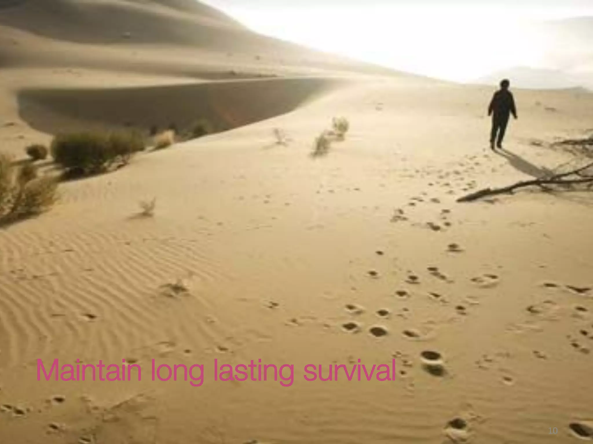 Maintain long lasting survival 
10(
 