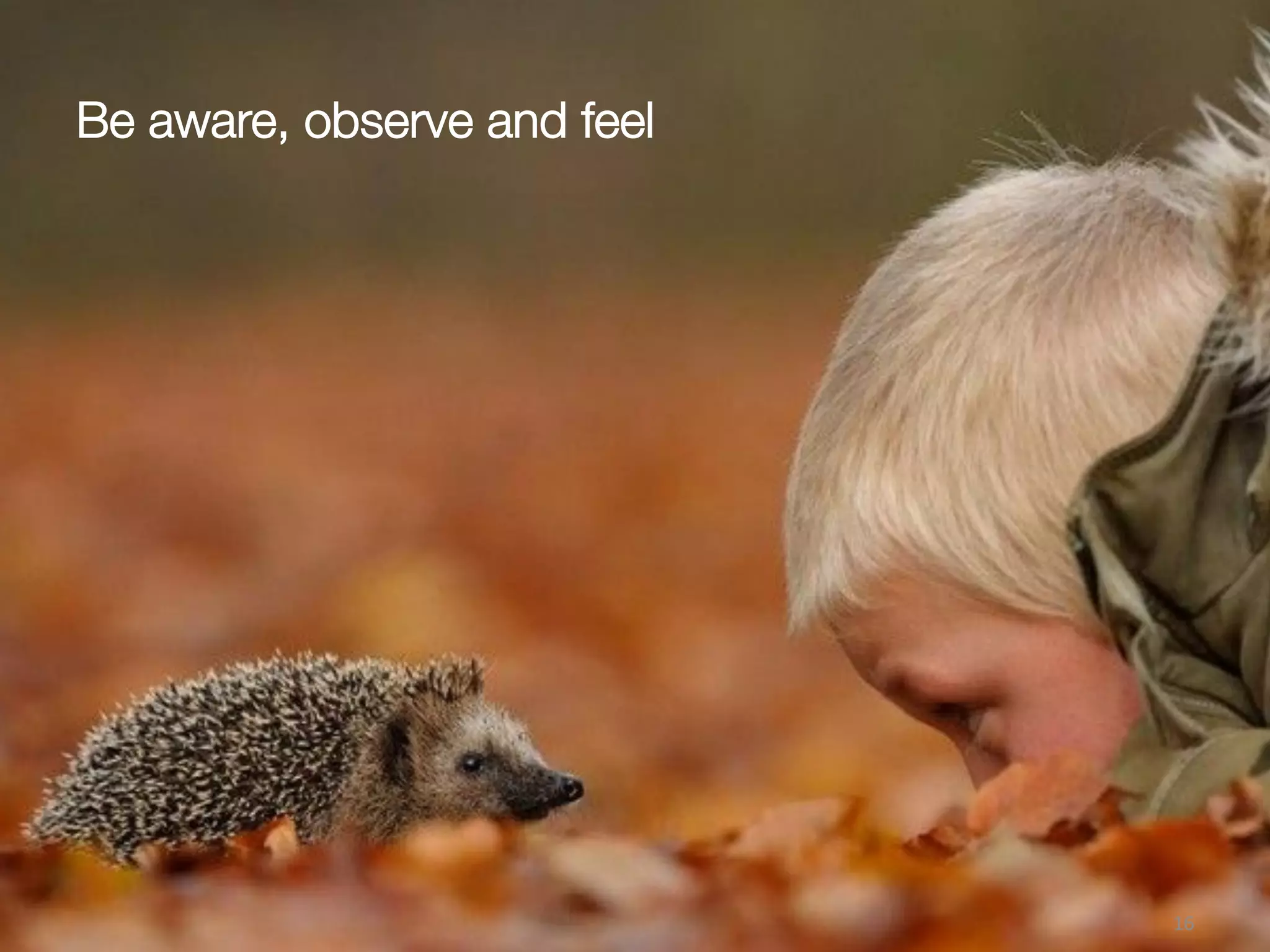 Be aware, observe and feel
16(
 