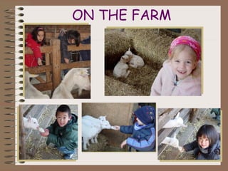 ON THE FARM
 