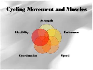 Cycling Movement and Muscles 
Strength 
Endurance 
Flexibility 
Coordination Speed 
 