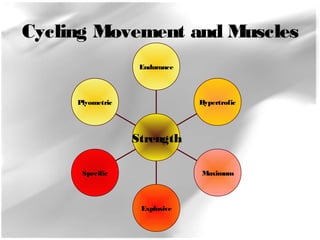 Cycling Movement and Muscles 
Plyometric 
Specific 
Explosive 
Hypertrofic 
Maximum 
Endurance 
Strength 
 