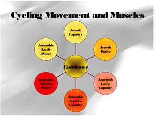 Cycling Movement and Muscles 
Anaerobic 
Lactic 
Power 
Anaerobic 
A-Lactic 
Power 
Anaerobic 
A-Lactic 
Capacity 
Aeroob 
Power 
Anaeroob 
Lactic 
Capacity 
Aeroob 
Capacity 
Endurance 
 