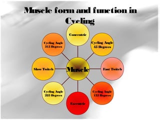 Muscle form and function in 
Cycling 
Cycling Angle 
315 Degrees 
Slow Twitch 
Cycling Angle 
225 Degrees 
Excentric 
Cycling Angle 
45 Degrees 
Fast Twitch 
Cycling Angle 
135 Degrees 
Concentric 
Muscle 
 