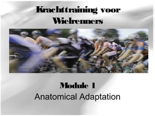 Krachttraining voor 
Wielrenners 
Module 1 
Anatomical Adaptation 
 
