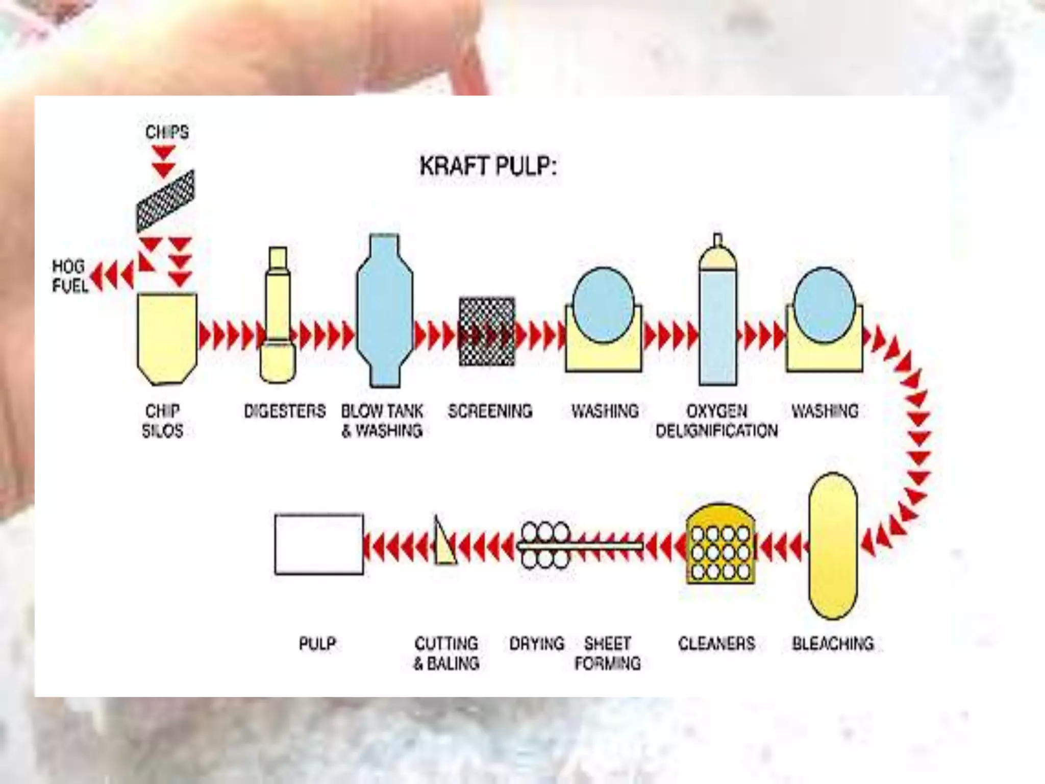 Kraft process | PPTX