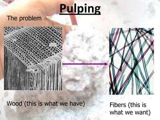 The problem

Pulping

Wood (this is what we have)

Fibers (this is
what we want)

 