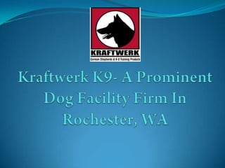 Kraftwerk K9- A Prominent Dog Facility Firm In Rochester, WA 