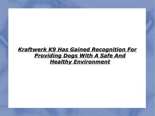 Kraftwerk K9 Has Gained Recognition For Providing Dogs With A Safe And Healthy Environment 