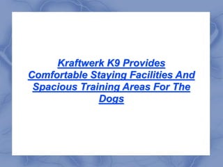Kraftwerk K9 Provides Comfortable Staying Facilities And Spacious Training Areas For The Dogs 
