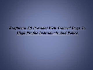Kraftwerk K9 Provides Well Trained Dogs To High Profile Individuals And Police 