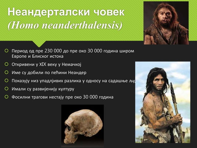 Еволуција човека | PPT