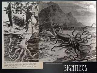 SIGHTINGS
Richard Ellis: In search of the giant squid
 